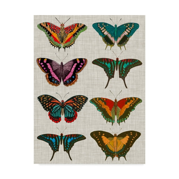 Trademark Fine Art 'Polychrome Butterflies II' Canvas Art by Vision Studio