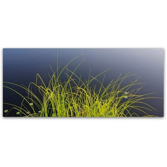Trademark Fine Art "Pond Grass Abstract" Canvas Art by Kurt Shaffer