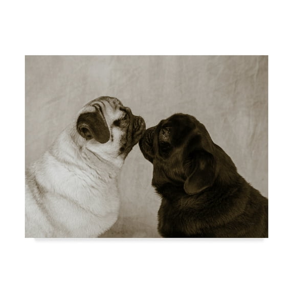 Trademark Fine Art 'Pooch Smooch' Canvas Art by Jim Dratfield