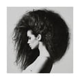 thumbnail image 1 of Trademark Fine Art 'Poof' Canvas Art by Incado, 1 of 3