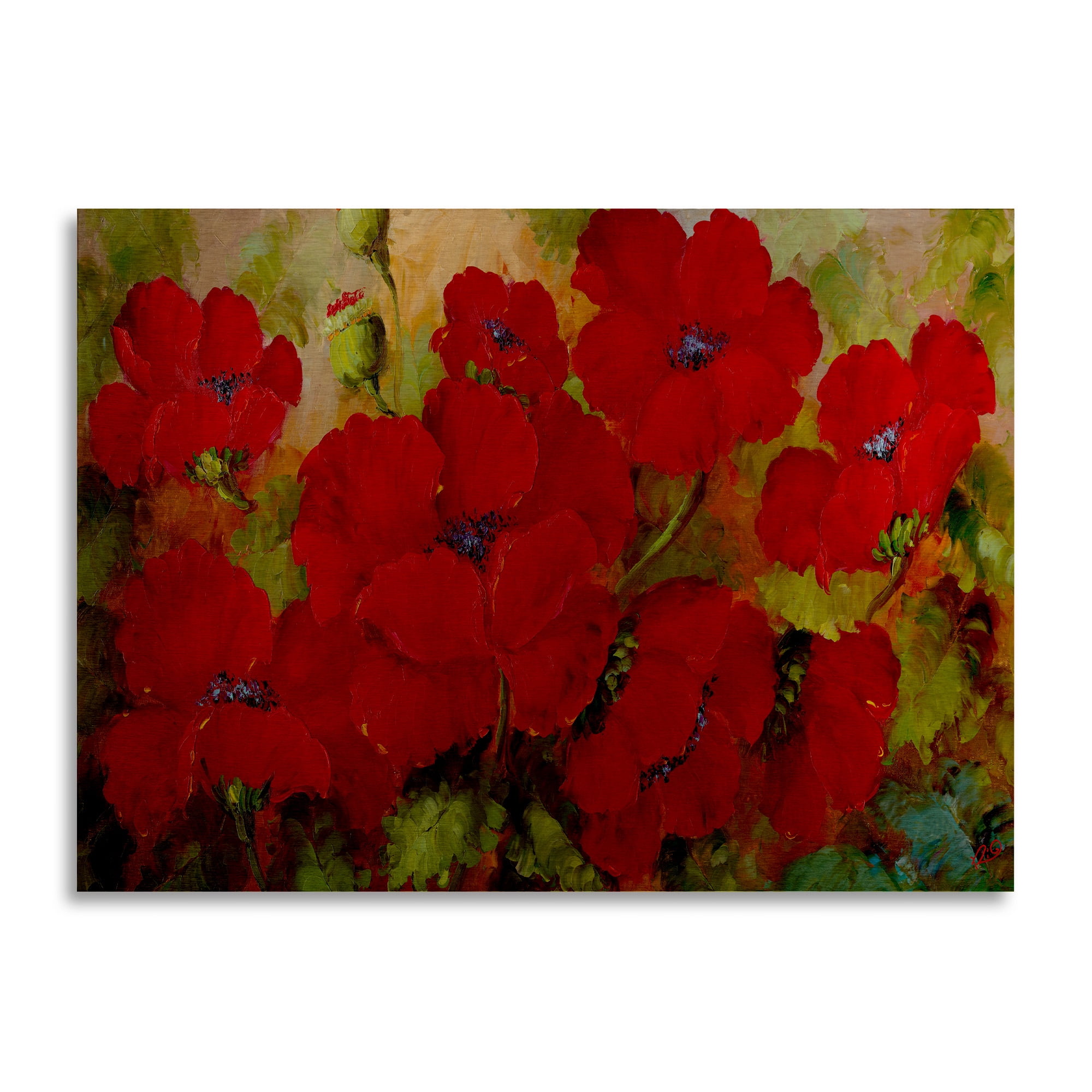 Trademark Fine Art 'Poppies' Brushed Aluminum Wall Art Art by Masters Fine Art