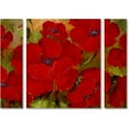 thumbnail image 1 of Trademark Fine Art "Poppies" Canvas Art by Rio Three Panel Set, 1 of 3