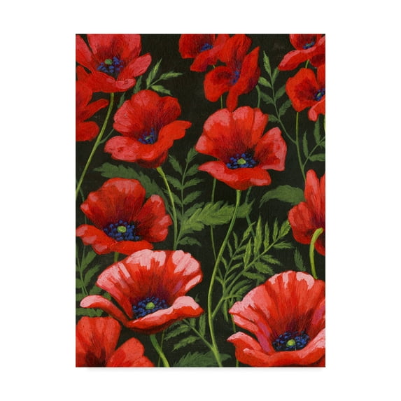 Trademark Fine Art 'Poppies at Midnight I' Canvas Art by Grace Popp
