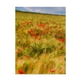 thumbnail image 1 of Trademark Fine Art 'Poppies in Field I' Canvas Art by Colby Chester, 1 of 4