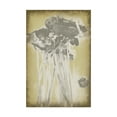 thumbnail image 1 of Trademark Fine Art 'Poppies in Relief I' Canvas Art by Jennifer Goldberger, 1 of 4