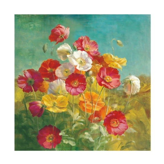 Trademark Fine Art 'Poppies in the Field' Canvas Art by Danhui Nai