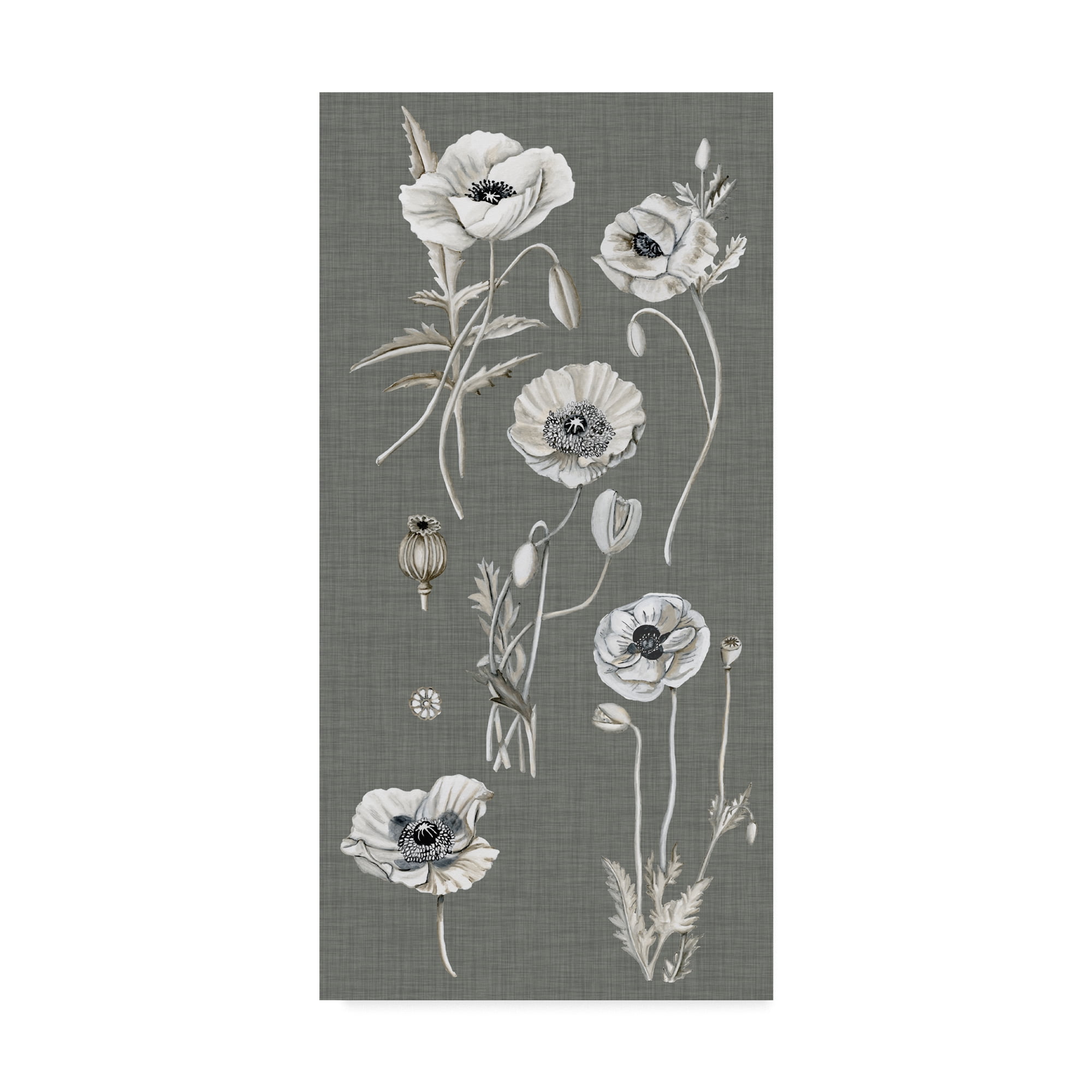 Trademark Fine Art 'Poppy Array I' Canvas Art by Naomi McCavitt