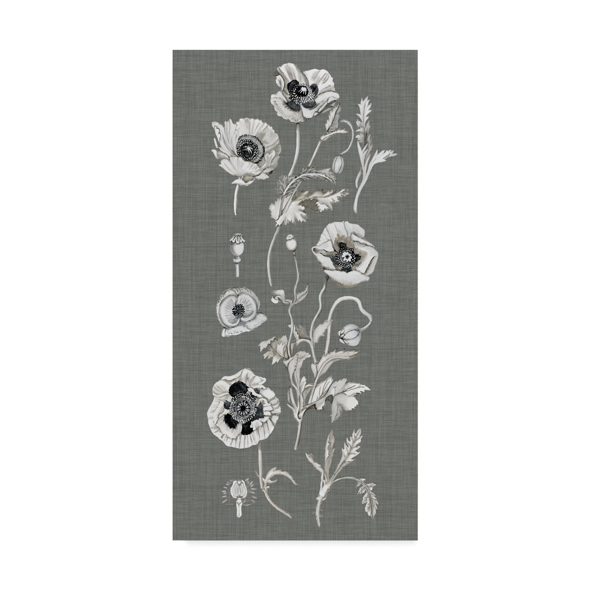 Trademark Fine Art 'Poppy Array II' Canvas Art by Naomi McCavitt