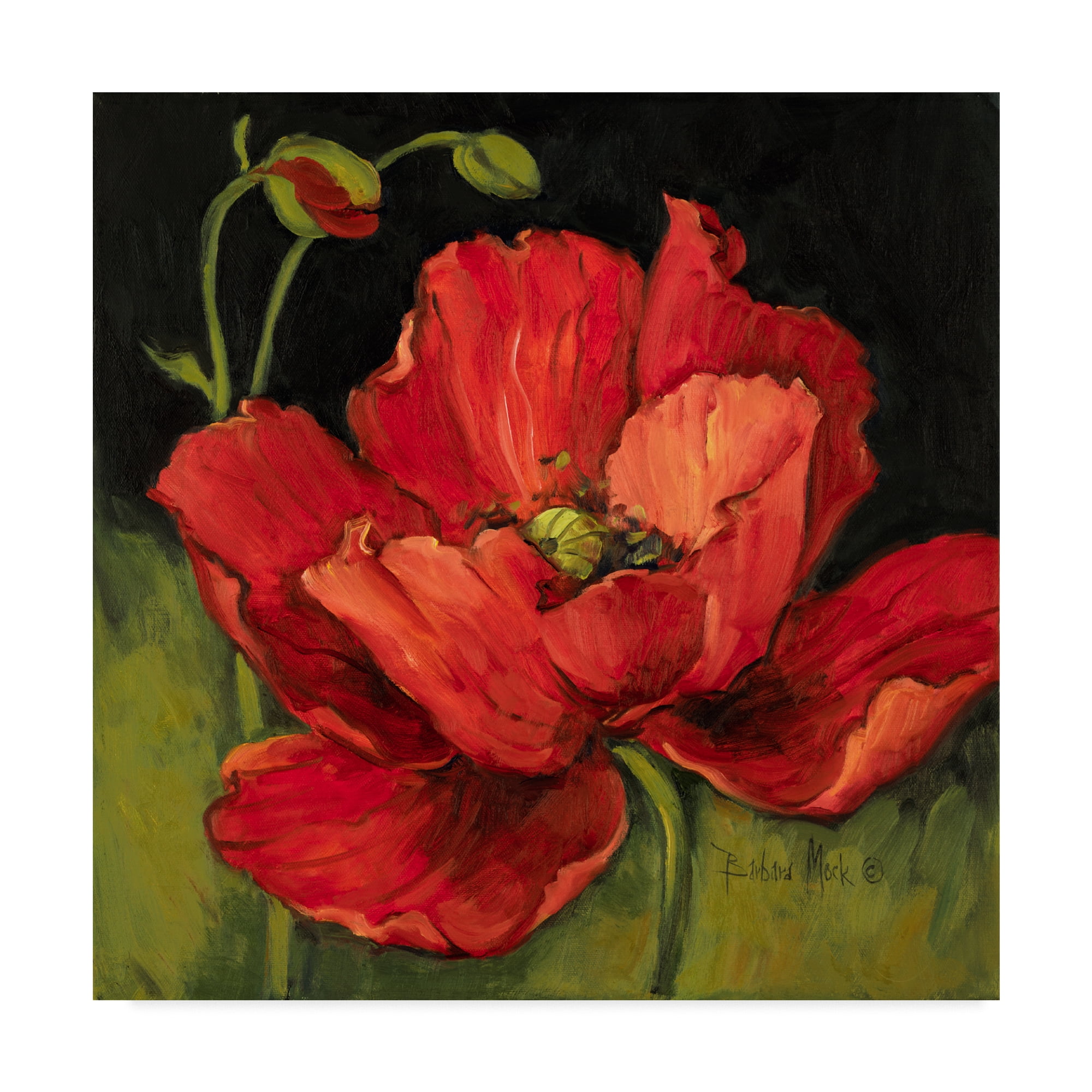 Trademark Fine Art Barbara Mock Poppy Blossom 18"x18” Canvas Art Prints