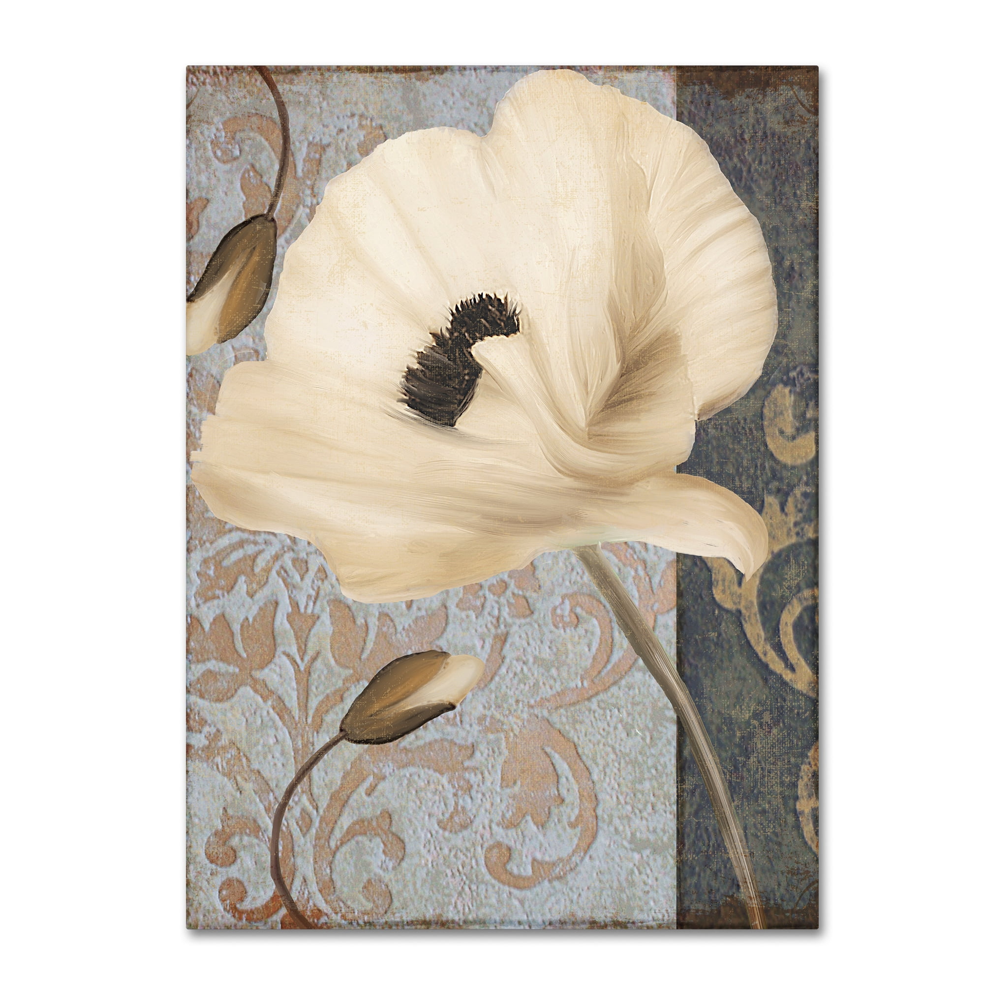Trademark Fine Art "Poppy Brocade II" Canvas Art by Color Bakery
