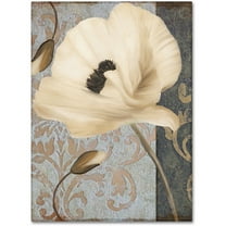 Trademark Fine Art "Poppy Brocade II" Canvas Art by Color Bakery