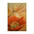 thumbnail image 1 of Trademark Fine Art 'Poppy Duet' Canvas Art by Cherie Roe Dirksen, 1 of 3