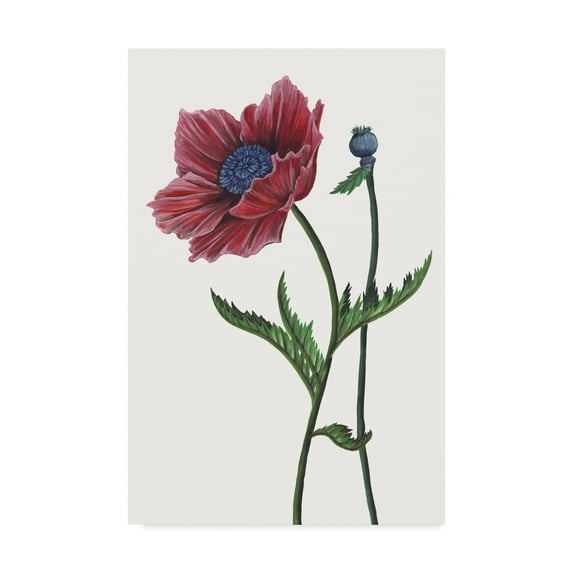 Trademark Fine Art 'Poppy Flower II' Canvas Art by Melissa Wang