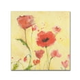 thumbnail image 1 of Trademark Fine Art 'Poppy Garden 1' Canvas Art by Sheila Golden, 1 of 3