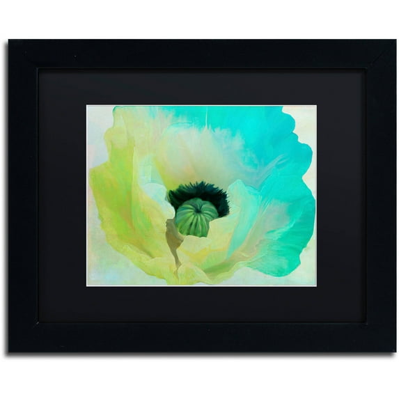 Trademark Fine Art "Poppy Gradient I" Canvas Art by Color Bakery Black Matte, Black Frame