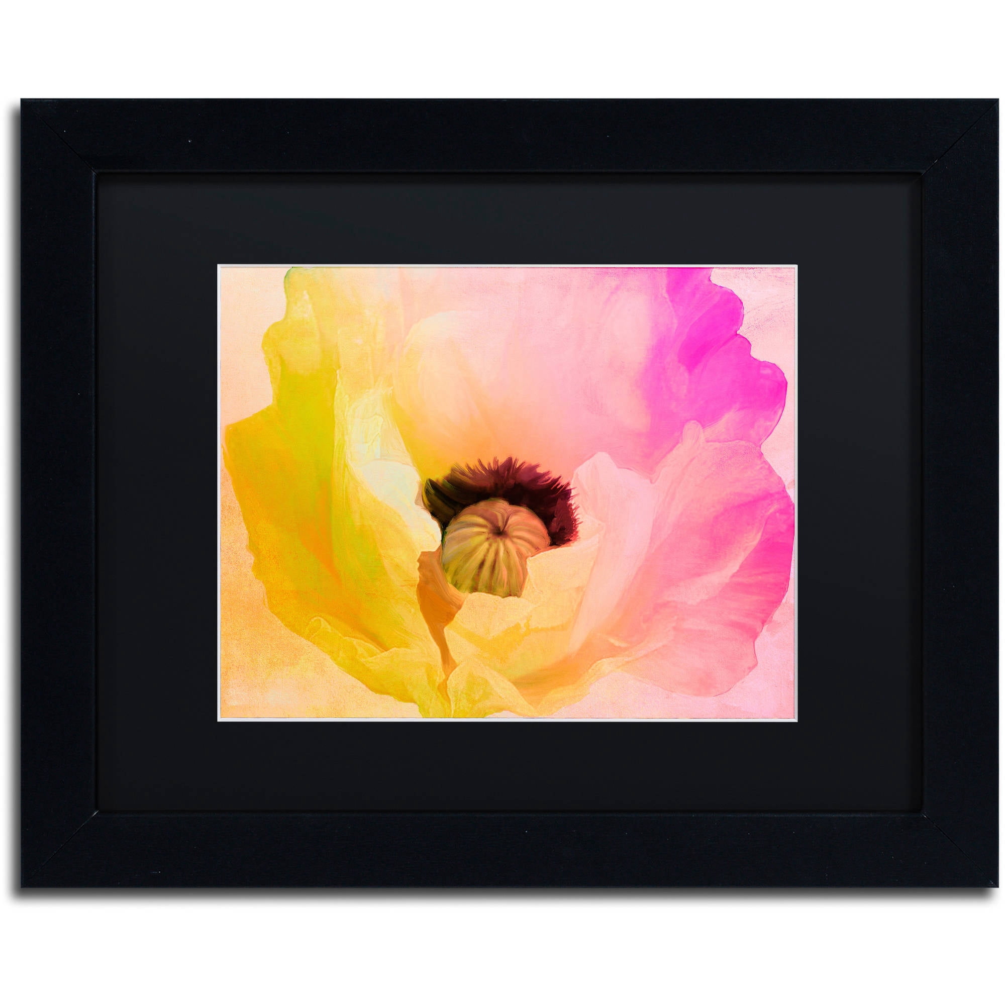 Trademark Fine Art "Poppy Gradient II" Canvas Art by Color Bakery Black Matte, Black Frame