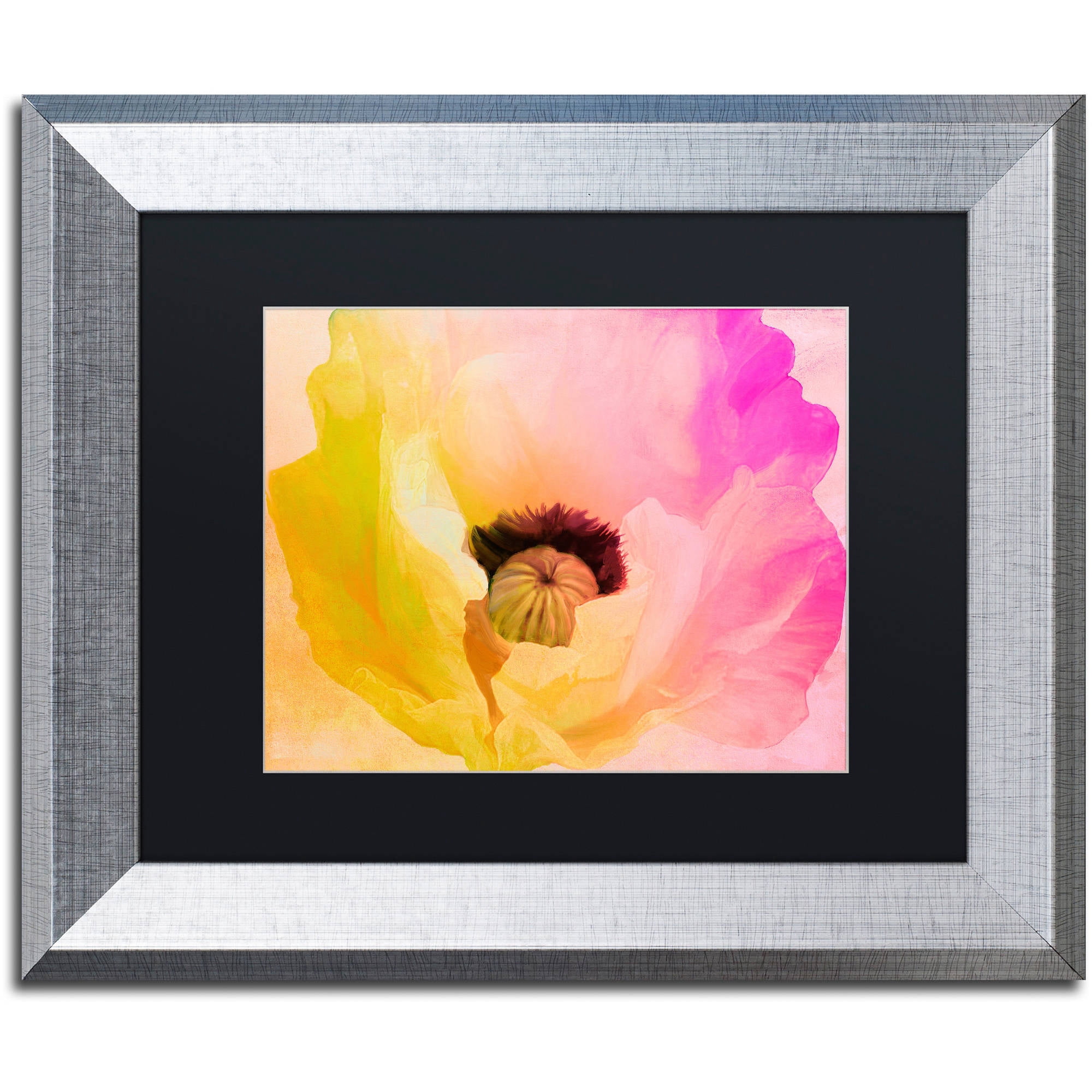 Trademark Fine Art "Poppy Gradient II" Canvas Art by Color Bakery Black Matte, Silver Frame