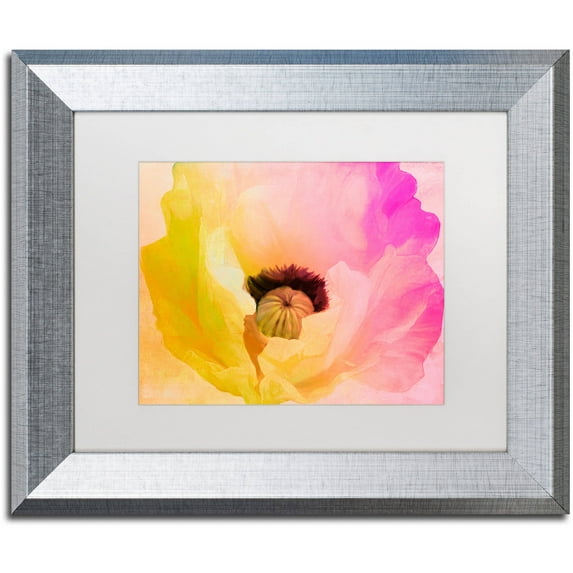 Trademark Fine Art "Poppy Gradient II" Canvas Art by Color Bakery White Matte, Silver Frame