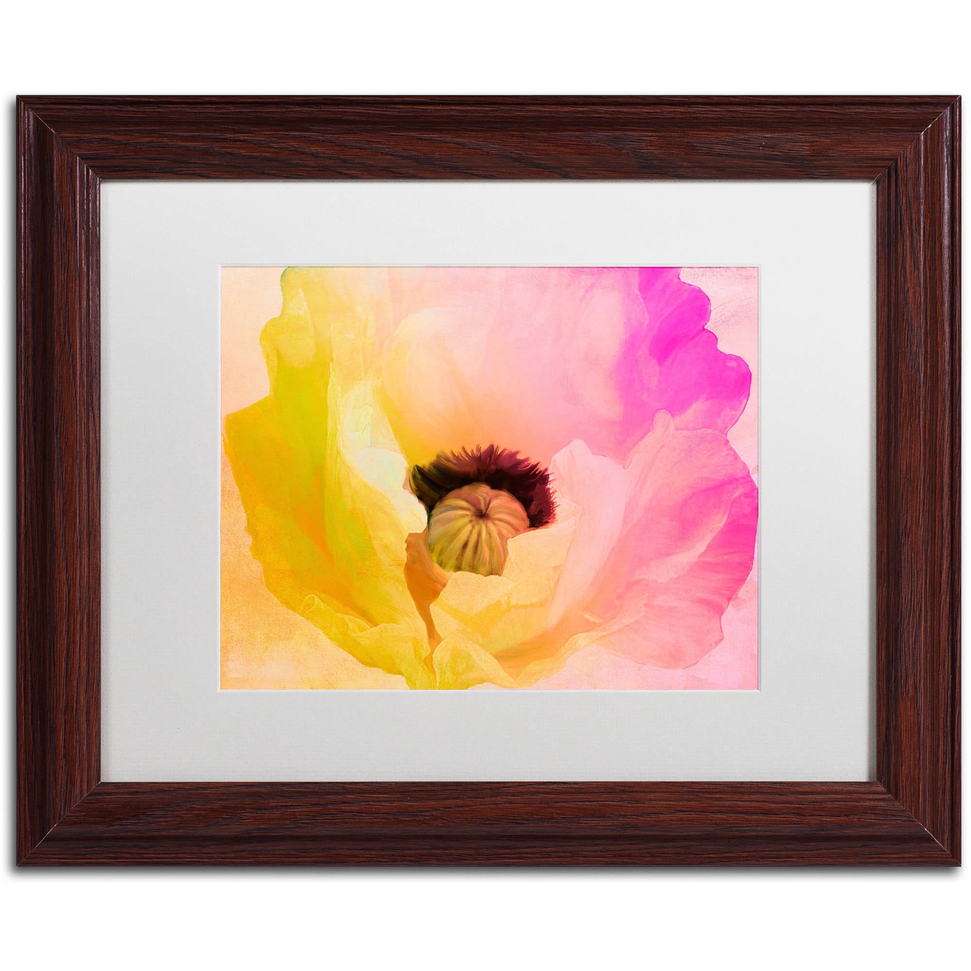 Trademark Fine Art "Poppy Gradient II" Canvas Art by Color Bakery White Matte, Wood Frame