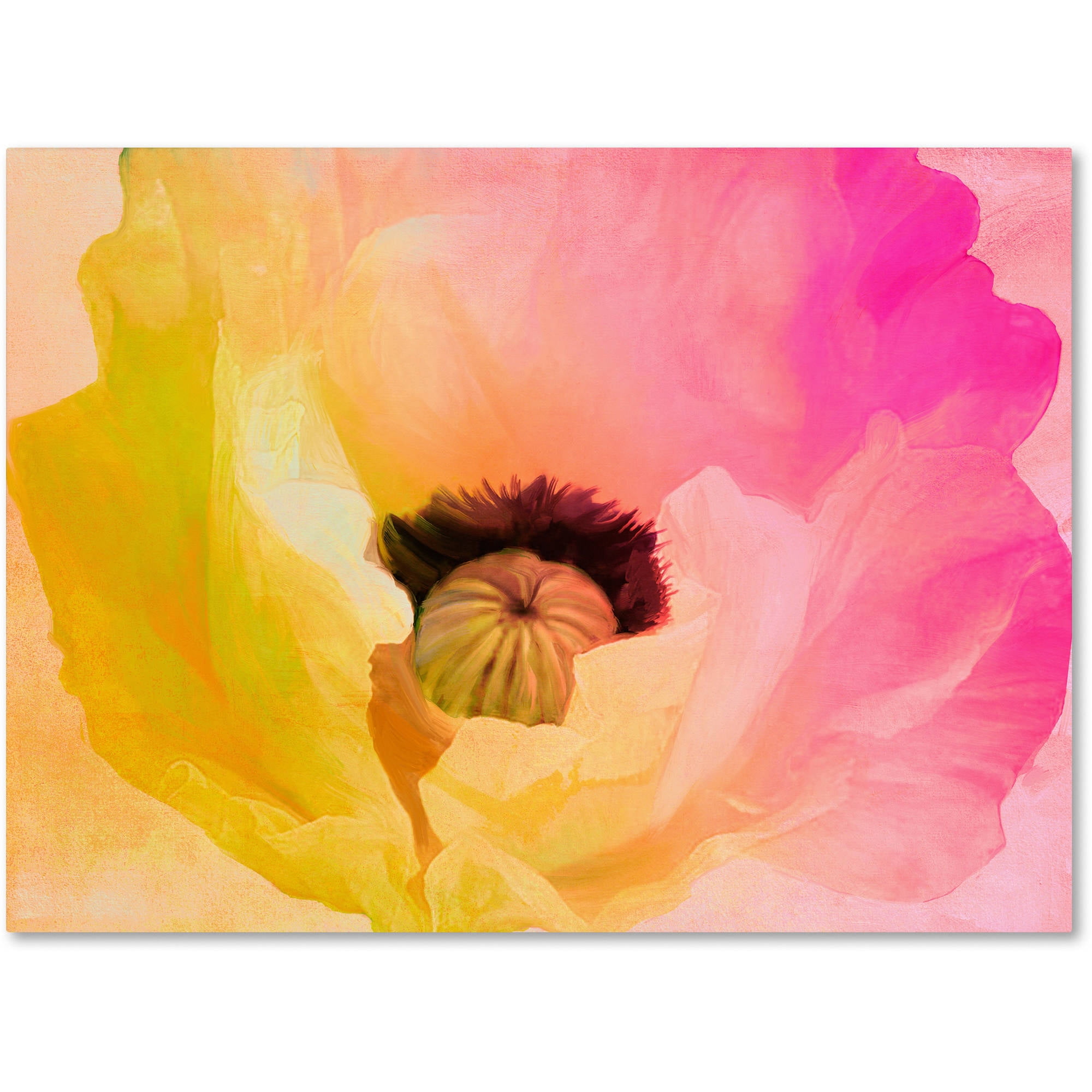 Trademark Fine Art "Poppy Gradient II" Canvas Art by Color Bakery
