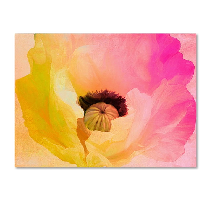 Trademark Fine Art "Poppy Gradient II" Canvas Art by Color Bakery