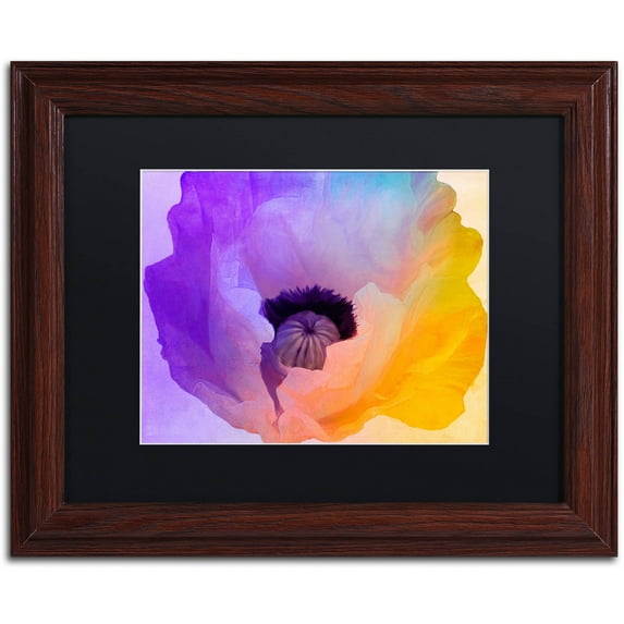 Trademark Fine Art "Poppy Gradient III" Canvas Art by Color Bakery Black Matte, Wood Frame