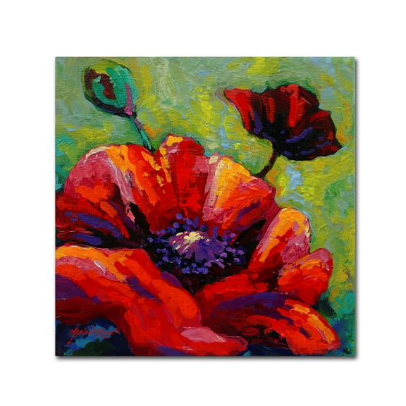 Trademark Fine Art 'Poppy I' Canvas Art by Marion Rose