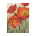 thumbnail image 1 of Trademark Fine Art 'Poppy Love I' Canvas Art by Megan Meagher, 1 of 4