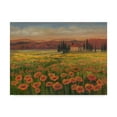 thumbnail image 1 of Trademark Fine Art 'Poppy Path to Home I' Canvas Art by Julie Joy, 1 of 1