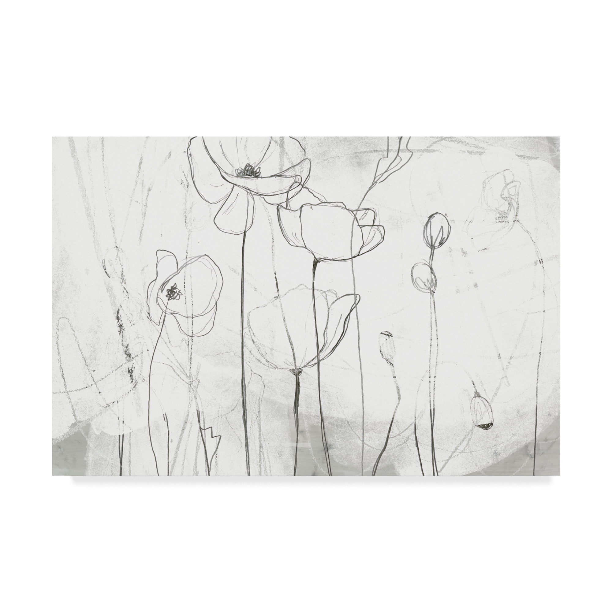 Trademark Fine Art 'Poppy Sketches I' Canvas Art by June Erica Vess