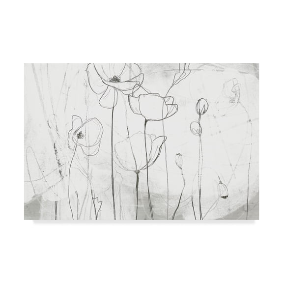 Trademark Fine Art 'Poppy Sketches I' Canvas Art by June Erica Vess