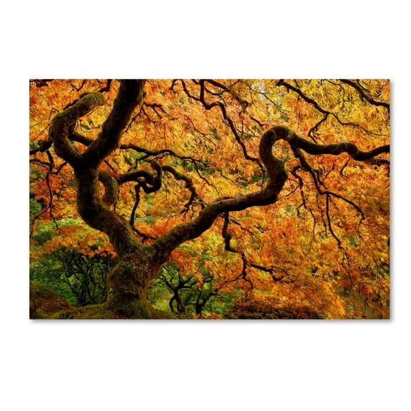 Trademark Fine Art 'Portland Japanese Garden' Canvas Art by Mike Jones Photo