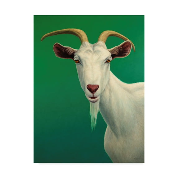Trademark Fine Art 'Portrait Of A Goat' Canvas Art by James W. Johnson
