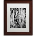 thumbnail image 1 of Trademark Fine Art "Post Scriptum" Canvas Art by Philippe Sainte-Laudy White Matte, Wood Frame, 1 of 1