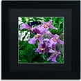 thumbnail image 1 of Trademark Fine Art "Postman Butterfly on Orchid" Canvas Art by Kurt Shaffer, Black Matte, Black Frame, 1 of 1