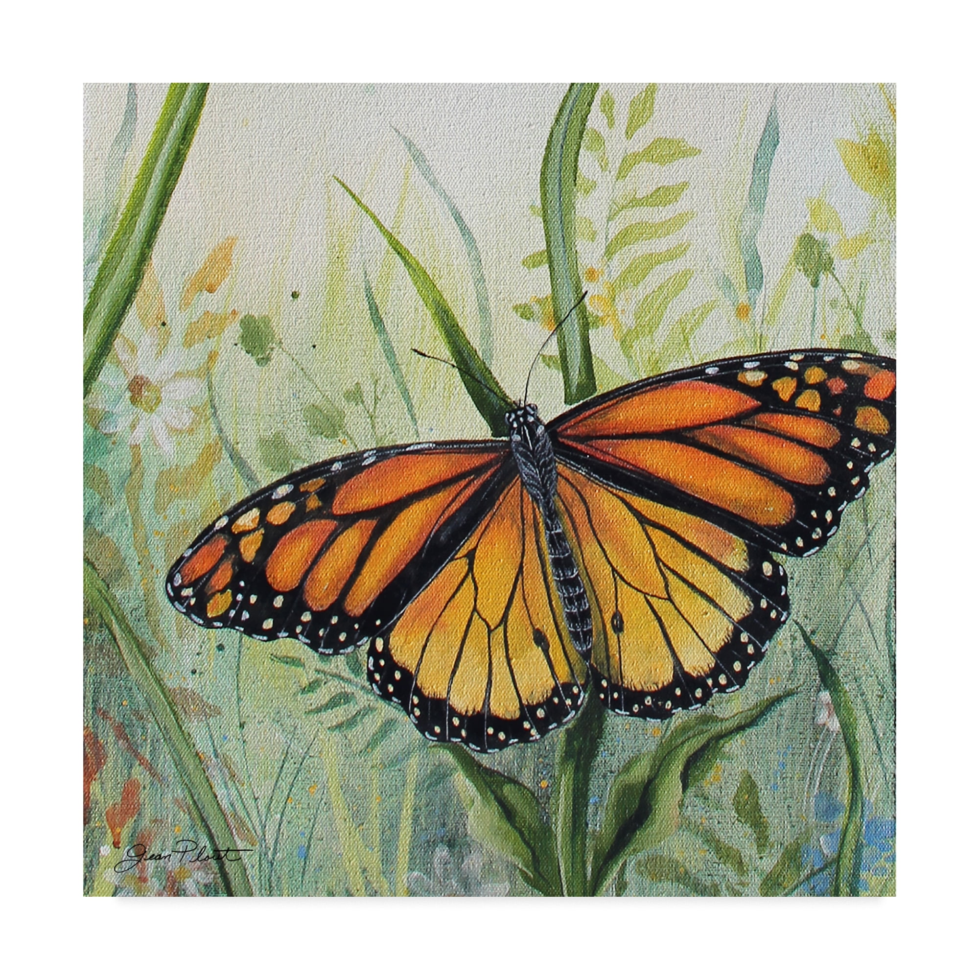 Trademark Fine Art 'Potanical Beauties 1' Canvas Art by Jean Plout