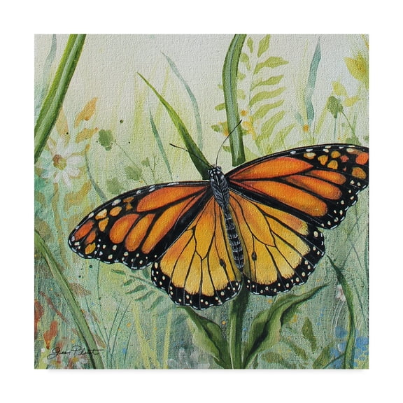 Trademark Fine Art 'Potanical Beauties 1' Canvas Art by Jean Plout