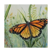 Trademark Fine Art 'Potanical Beauties 1' Canvas Art by Jean Plout