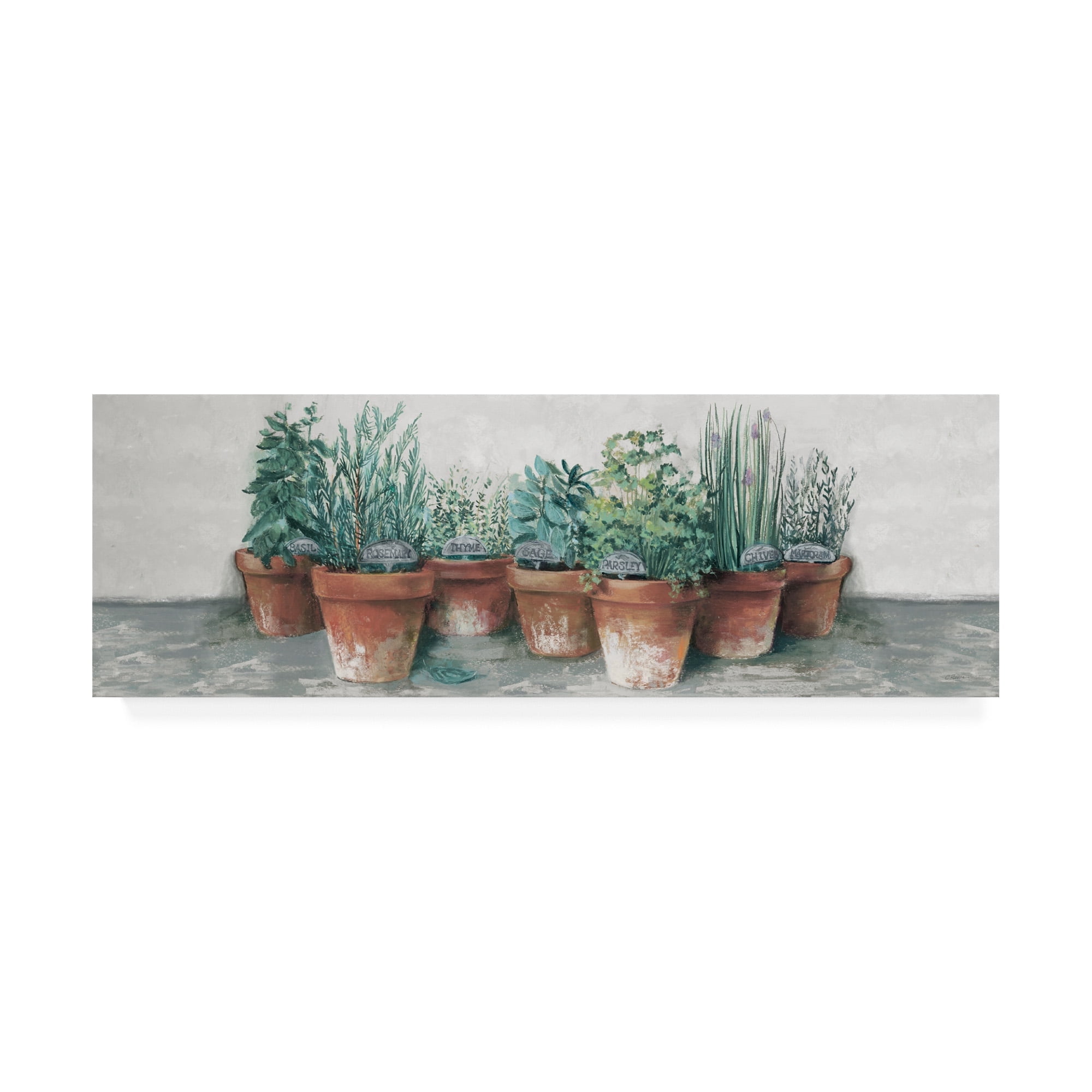Green and Brown Herb Pots Photography Print on Canvas