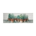thumbnail image 1 of Trademark Fine Art 'Pots of Herbs II Cottage v2' Canvas Art by Carol Rowan, 1 of 4