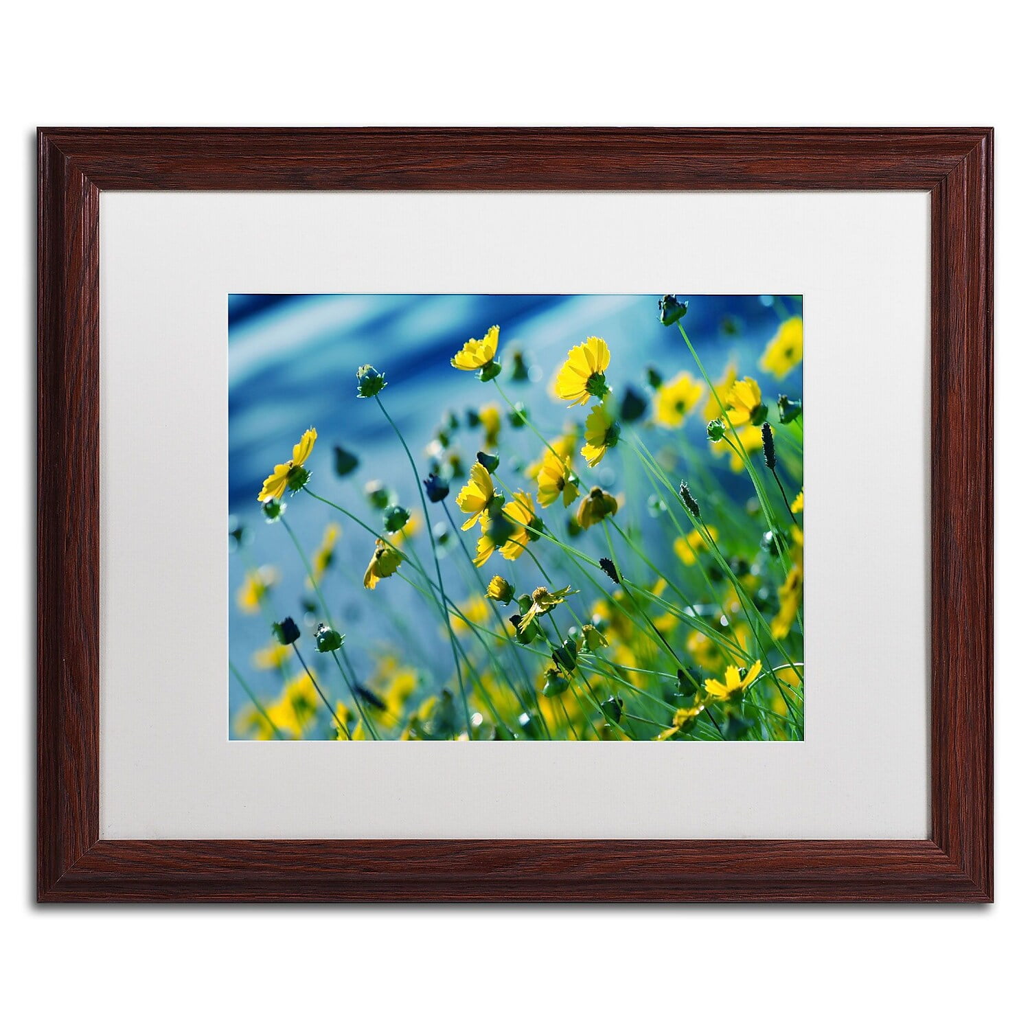 Trademark Fine Art "Power in Flower" Canvas Art by Beata Czyzowska Young, White Matte, Wood Frame