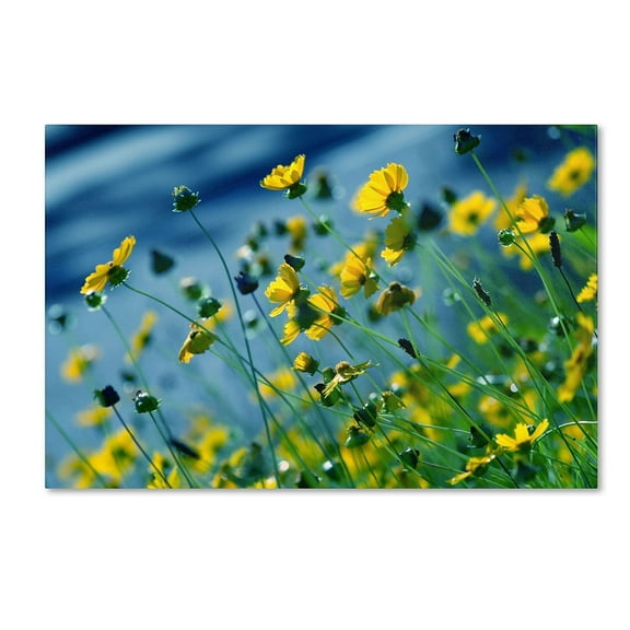 Trademark Fine Art "Power in Flower" Canvas Art by Beata Czyzowska Young