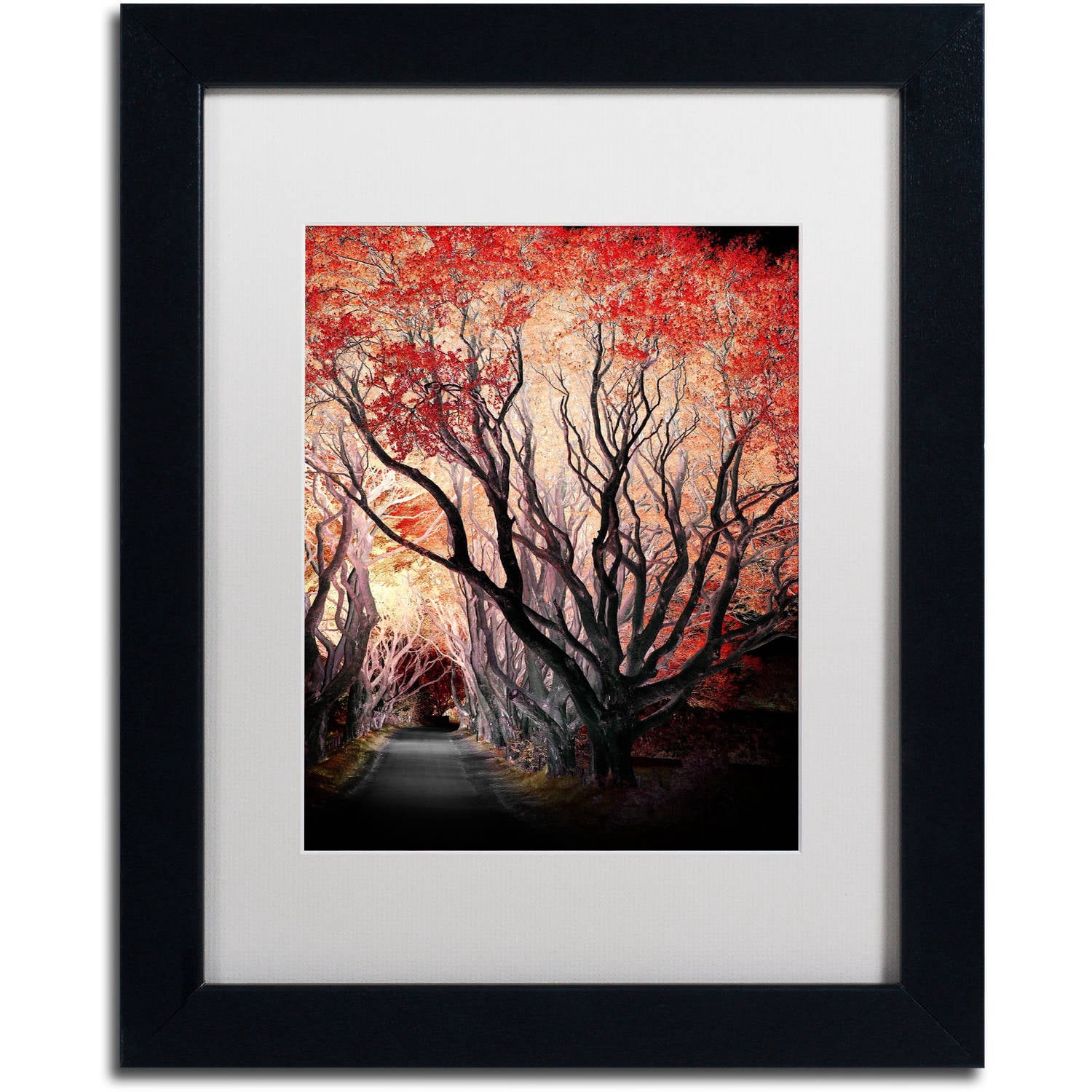 Trademark Fine Art "Powerful One" Canvas Art by Philippe Sainte-Laudy, White Matte, Black Frame
