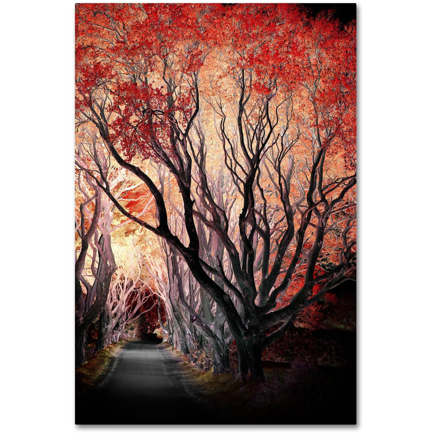 Trademark Fine Art "Powerful One" Canvas Art by Philippe Sainte-Laudy
