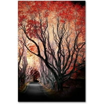 Trademark Fine Art "Powerful One" Canvas Art by Philippe Sainte-Laudy