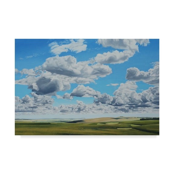 Trademark Fine Art 'Prairie Clouds' Canvas Art by Ron Parker