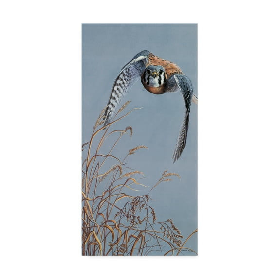 Trademark Fine Art 'Prairie Lighting' Canvas Art by Carolyn Mock