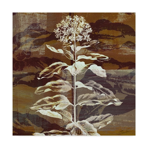 Trademark Fine Art 'Prairie Mix VI' Canvas Art by John Butler