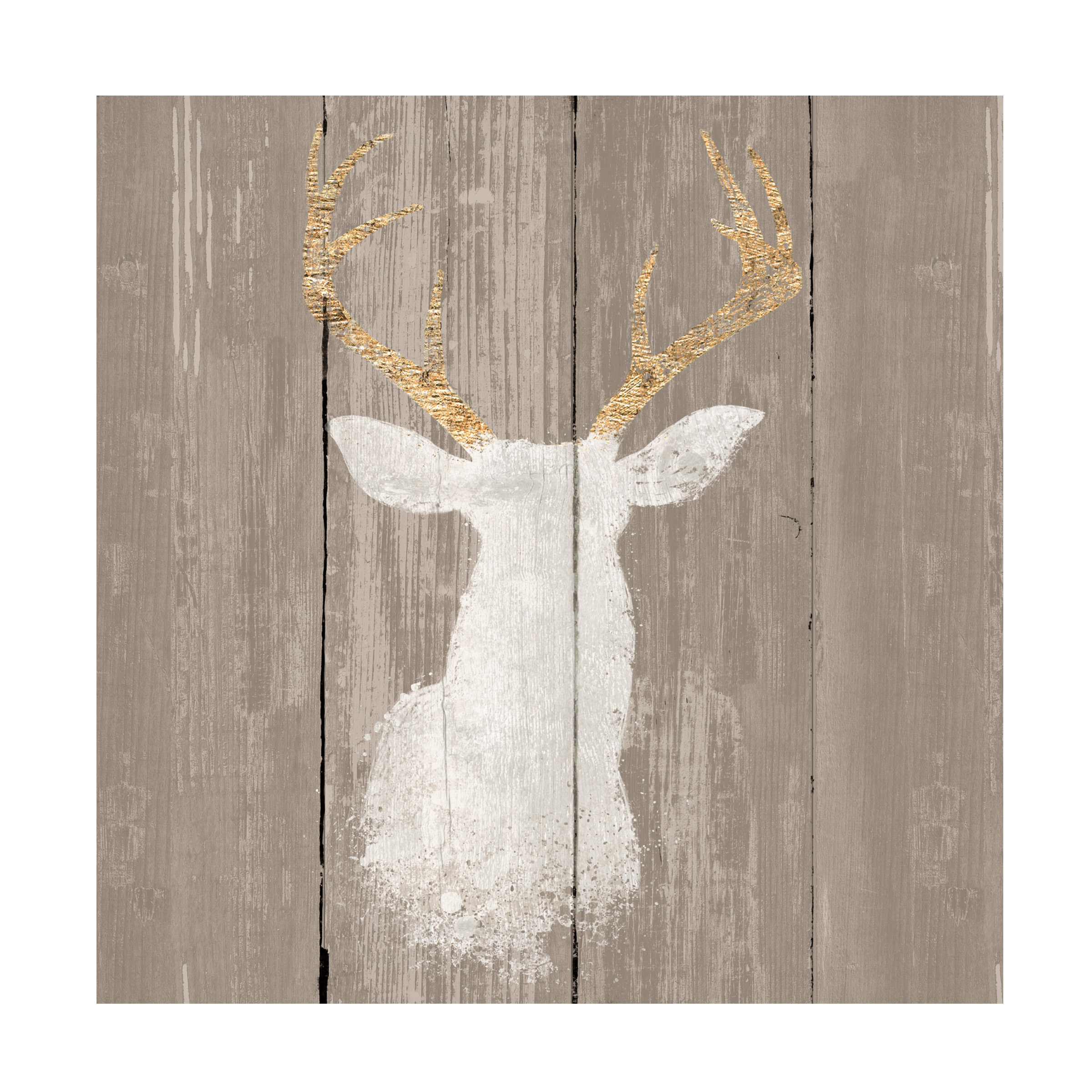 Trademark Fine Art 'Precious Antlers I on Gray Wood' Canvas Art by Wellington Studio