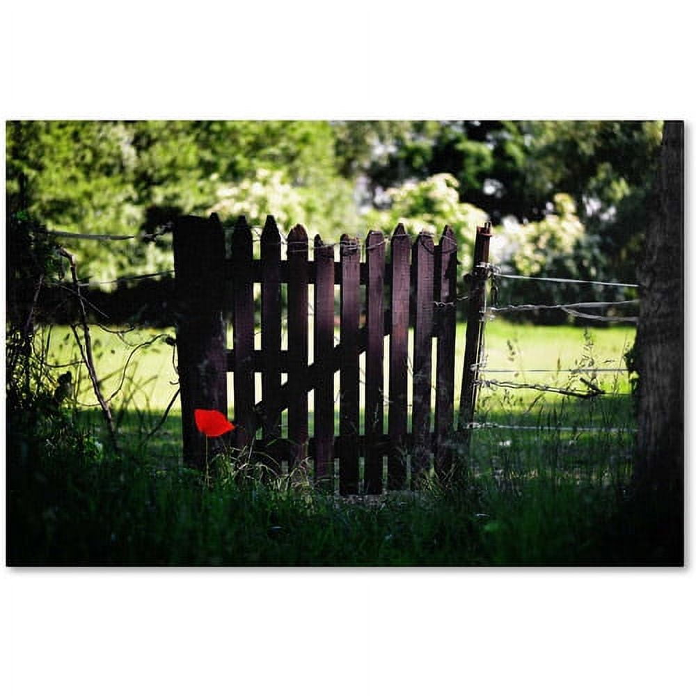 Trademark Fine Art "Press the Red Button" Canvas Art by Philippe Sainte-Laudy